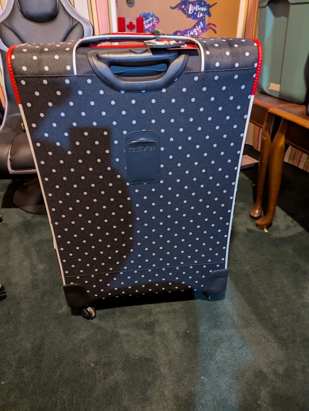 NEW Minnie Mouse Luggage image indicator(5)