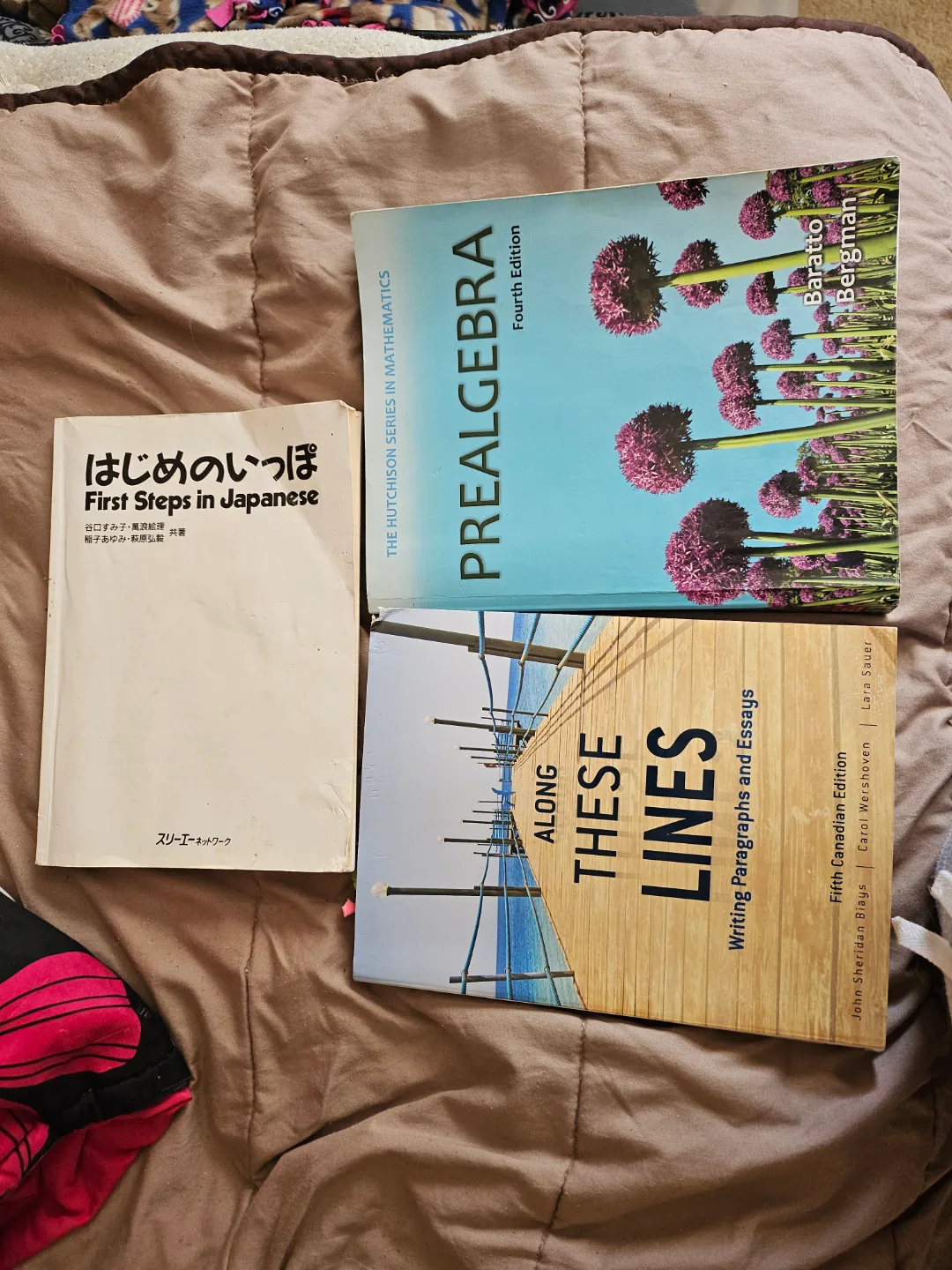 Textbook Bundle: Math, English & Japanese thumbnail
