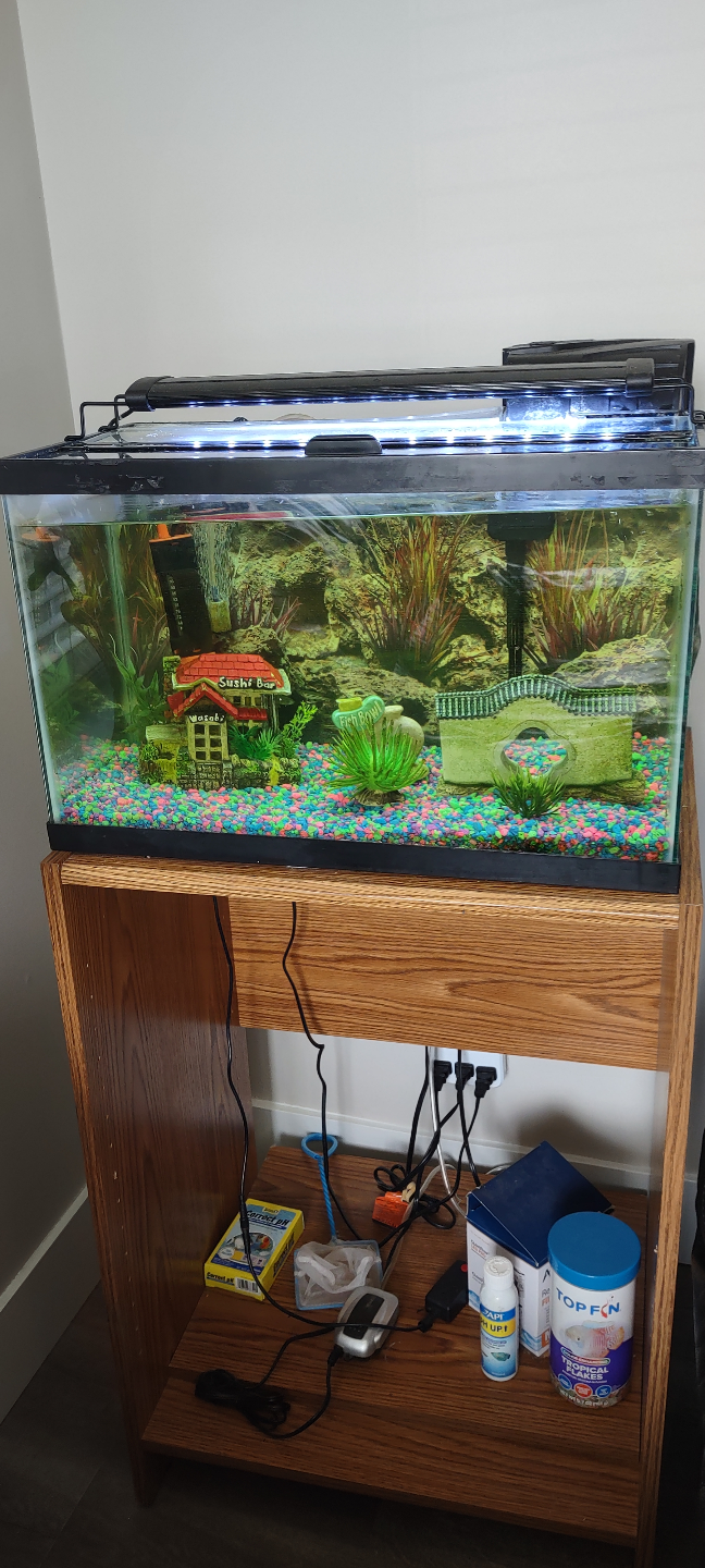 Complete aquarium setup with accessories - photo 3