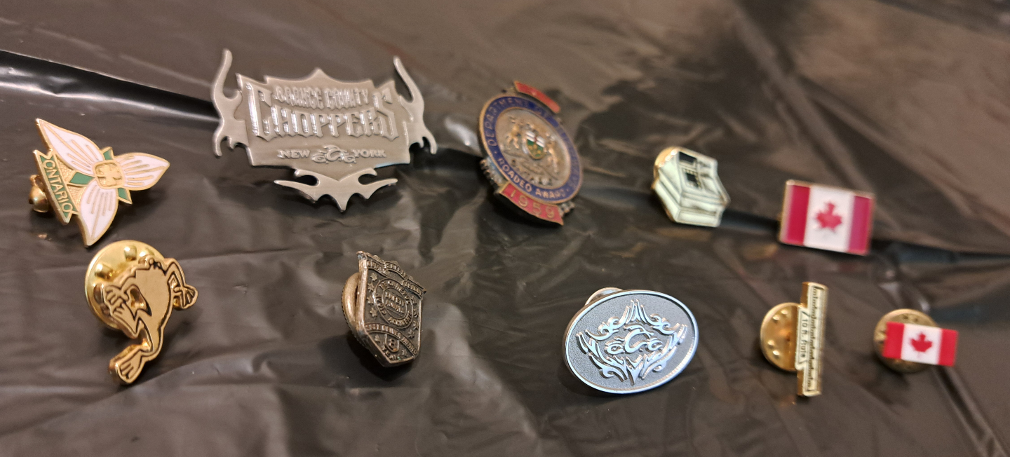 10 - Lapel Pins - photo 4