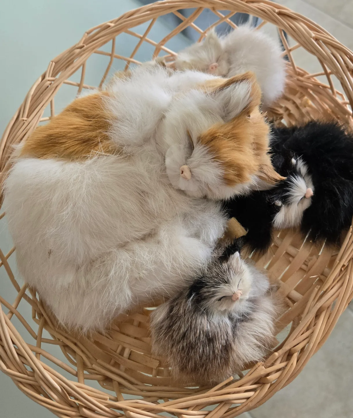 Adorable Sleeping Kittens in Basket image indicator(2)