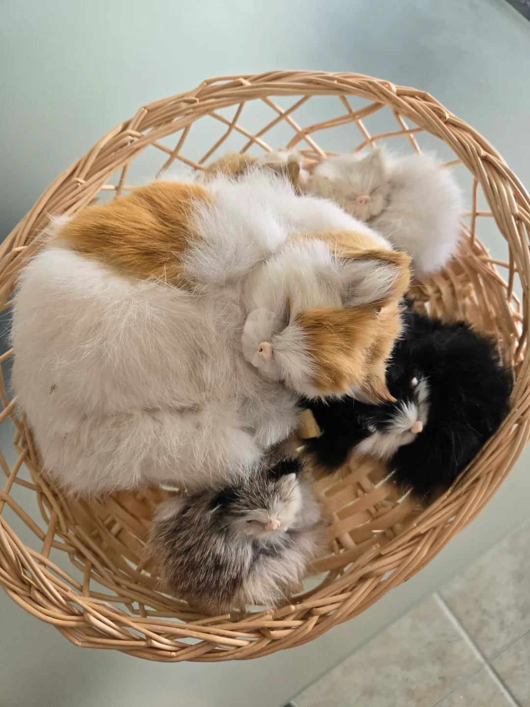 Adorable Sleeping Kittens in Basket image indicator(5)
