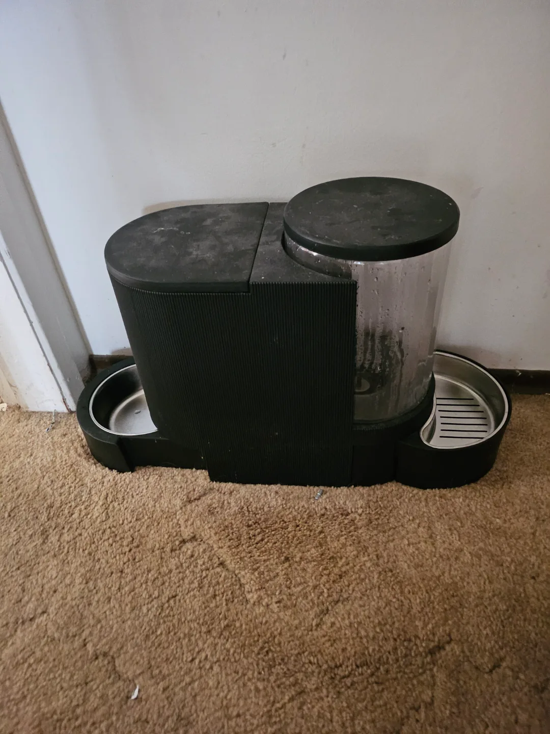 PetSafe Automatic Pet Feeder thumbnail