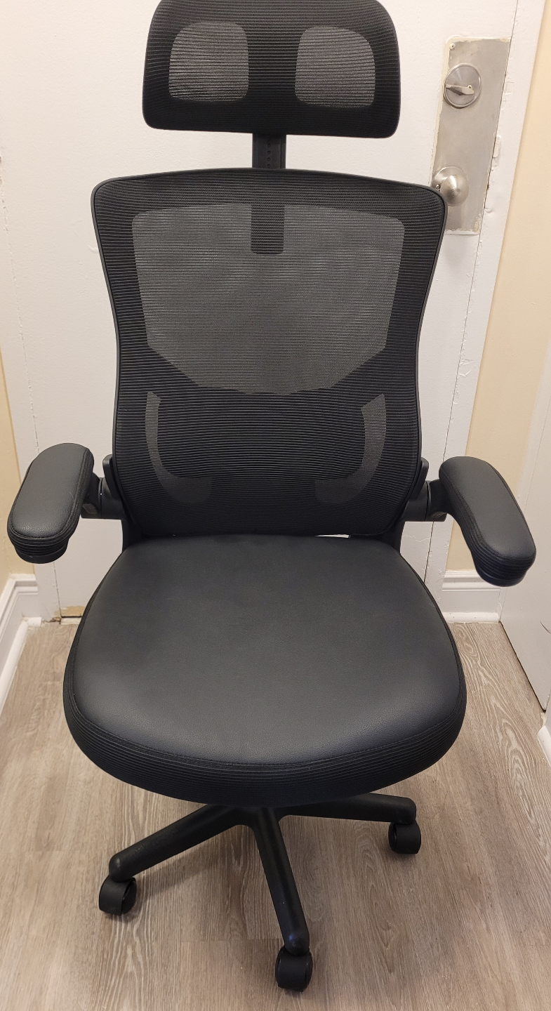 Executive Mesh Office Chair with Headrest