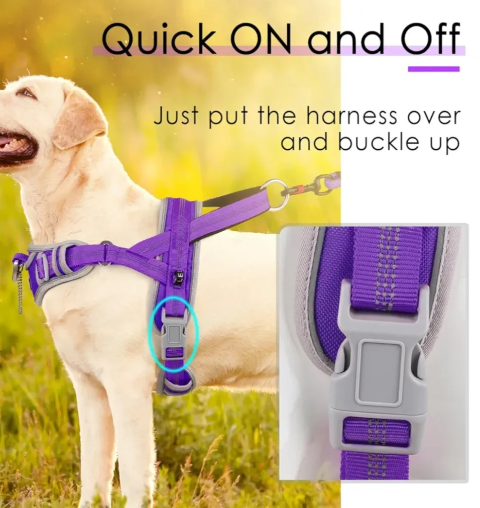 Adventuremore Dog Harness - Purple XS image indicator(5)