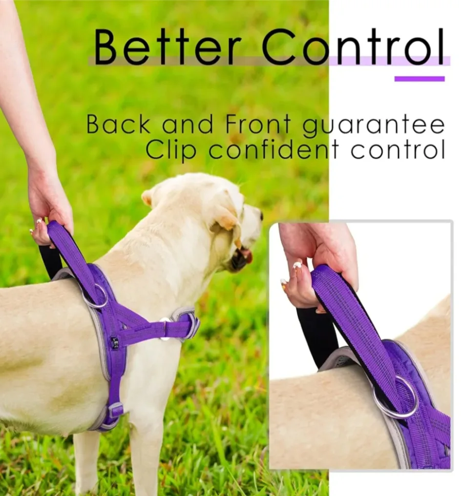 Adventuremore Dog Harness - Purple XS image indicator(7)