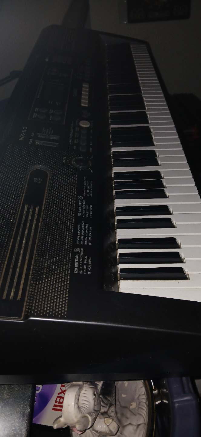 Casio WK-110 Keyboard - photo 4