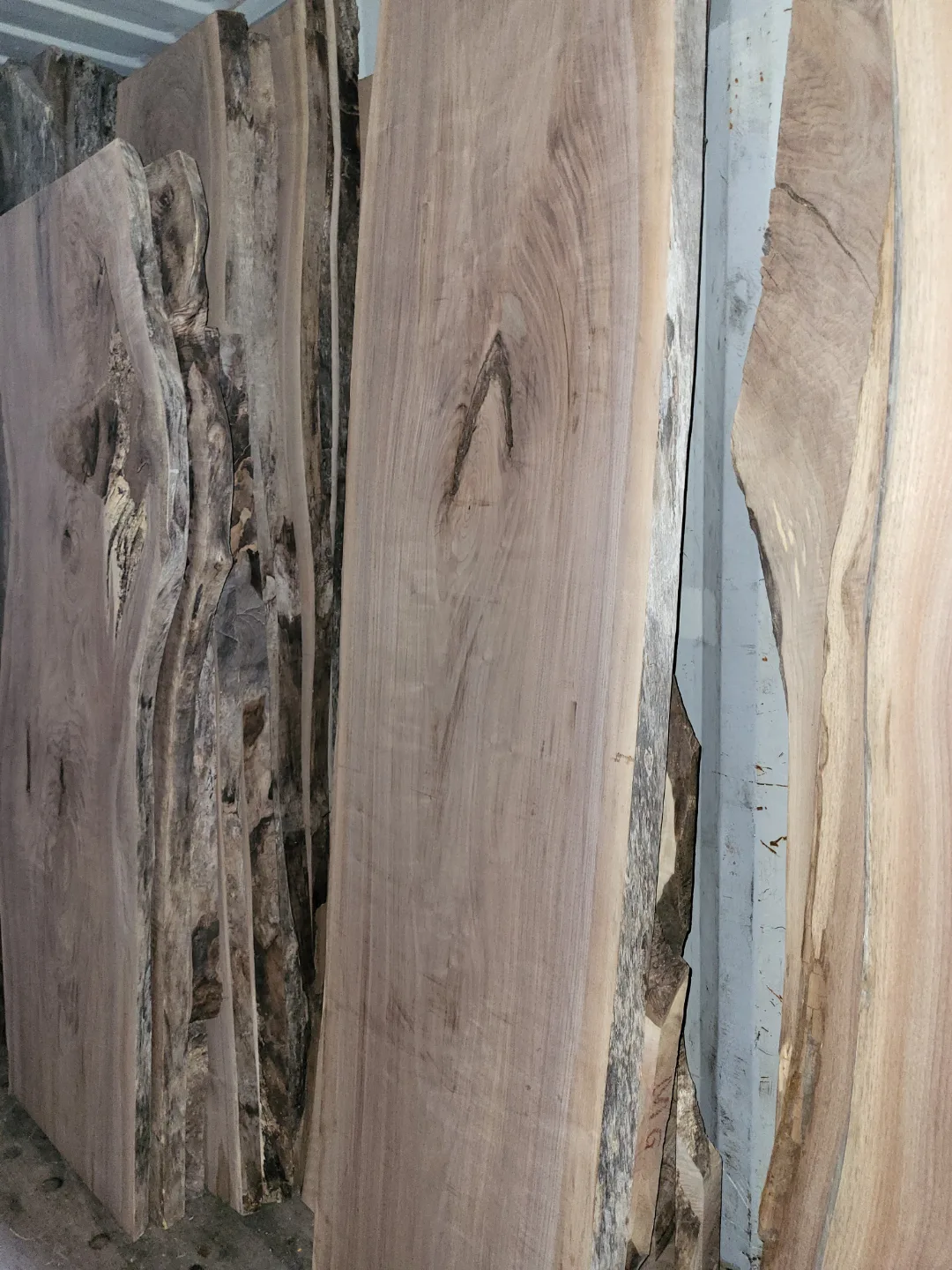 Live Edge Wood Slabs - Variety of Sizes and Species image indicator(9)