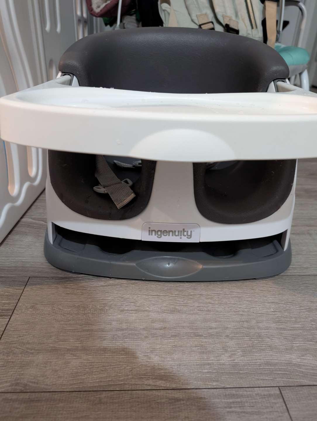 Moving Out - Ingenuity Baby Booster Seat - photo 2