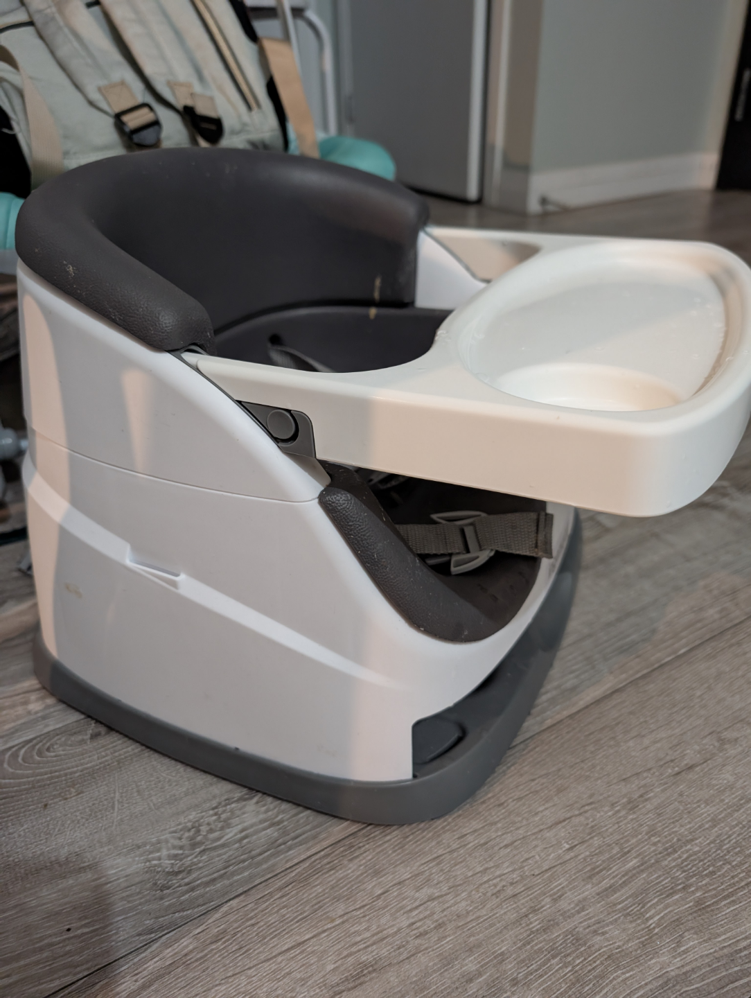 Moving Out - Ingenuity Baby Booster Seat - photo 3