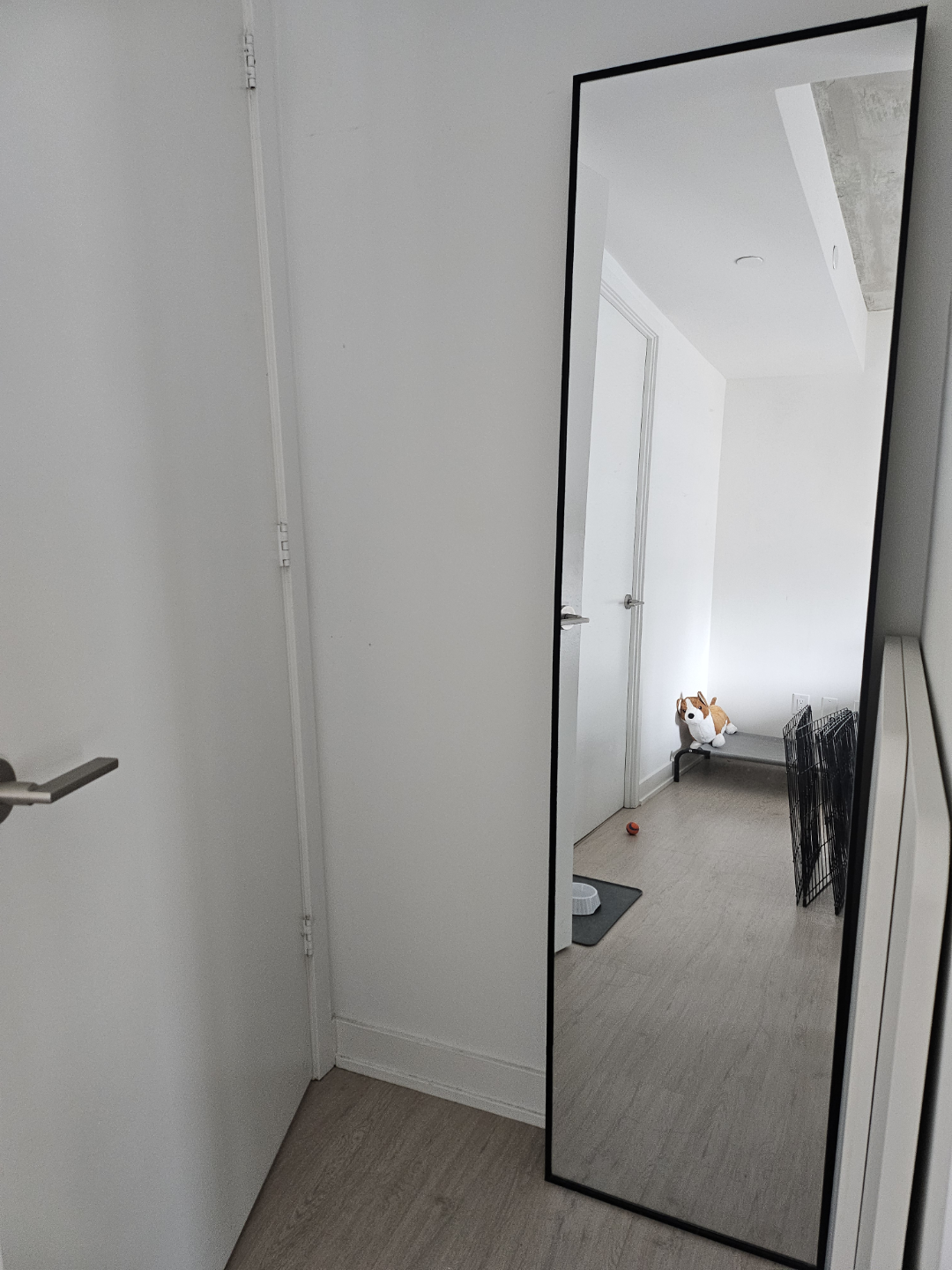 Full-Length Black Frame Mirror
