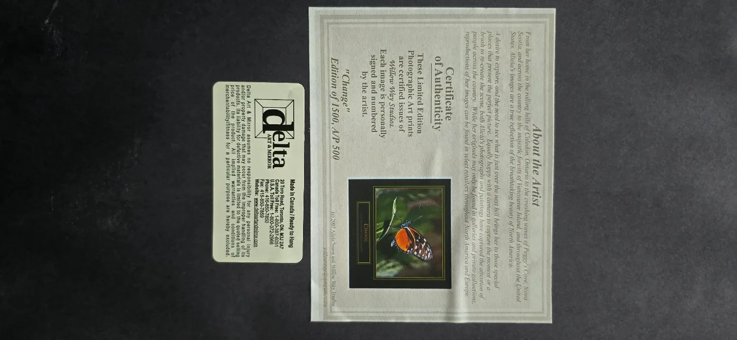 Framed Butterfly Photograph - Limited Edition Print image indicator(2)