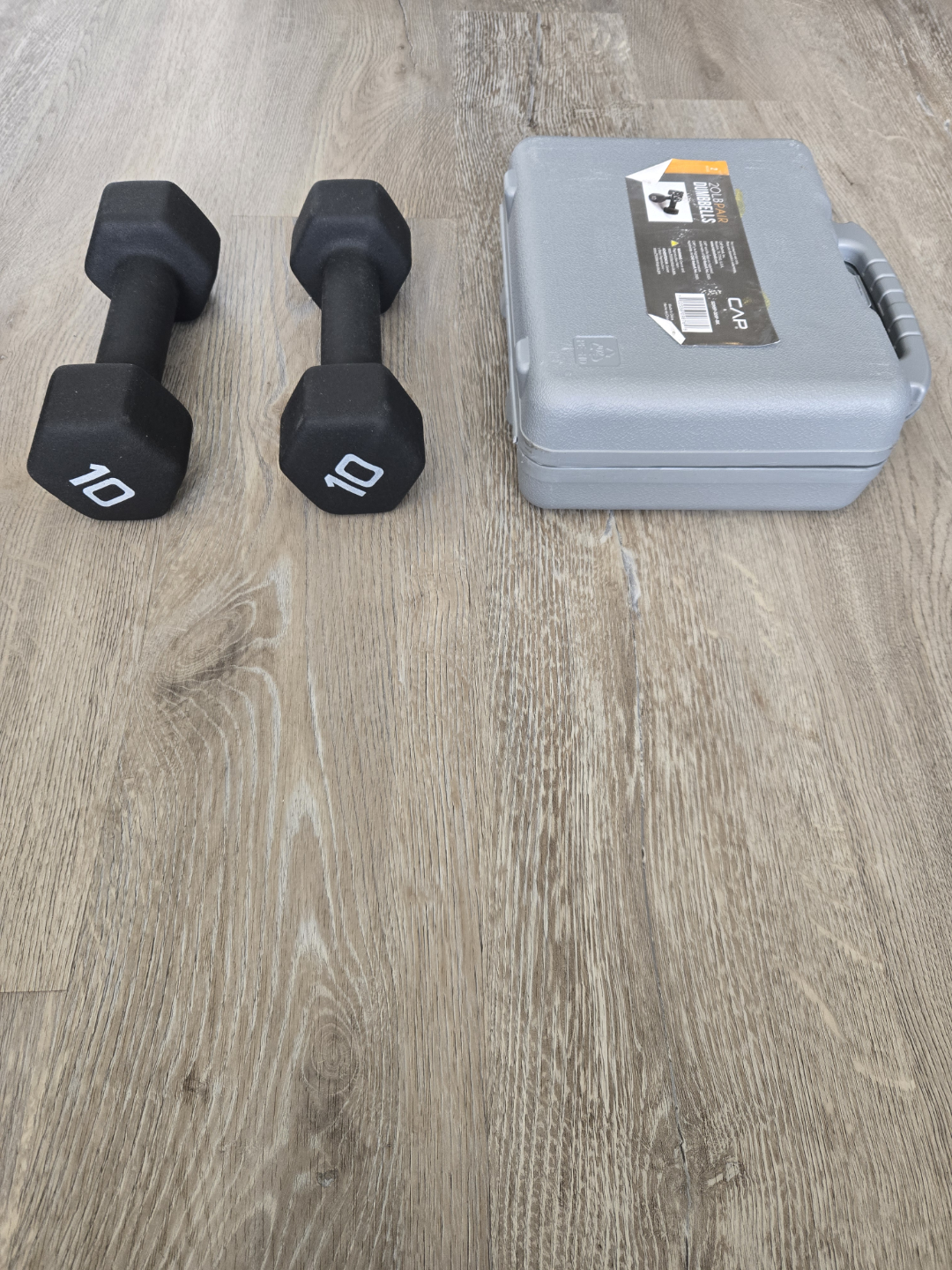 10lb Dumbbells with Case