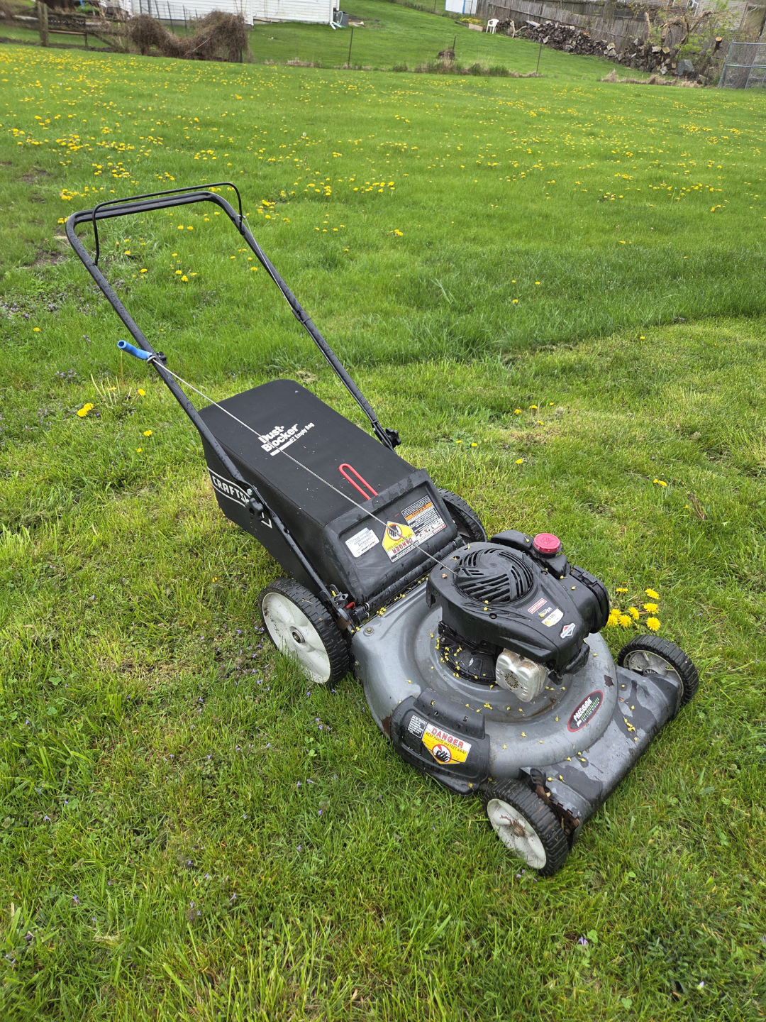 Gas Powered Push Lawn Mower - photo 3