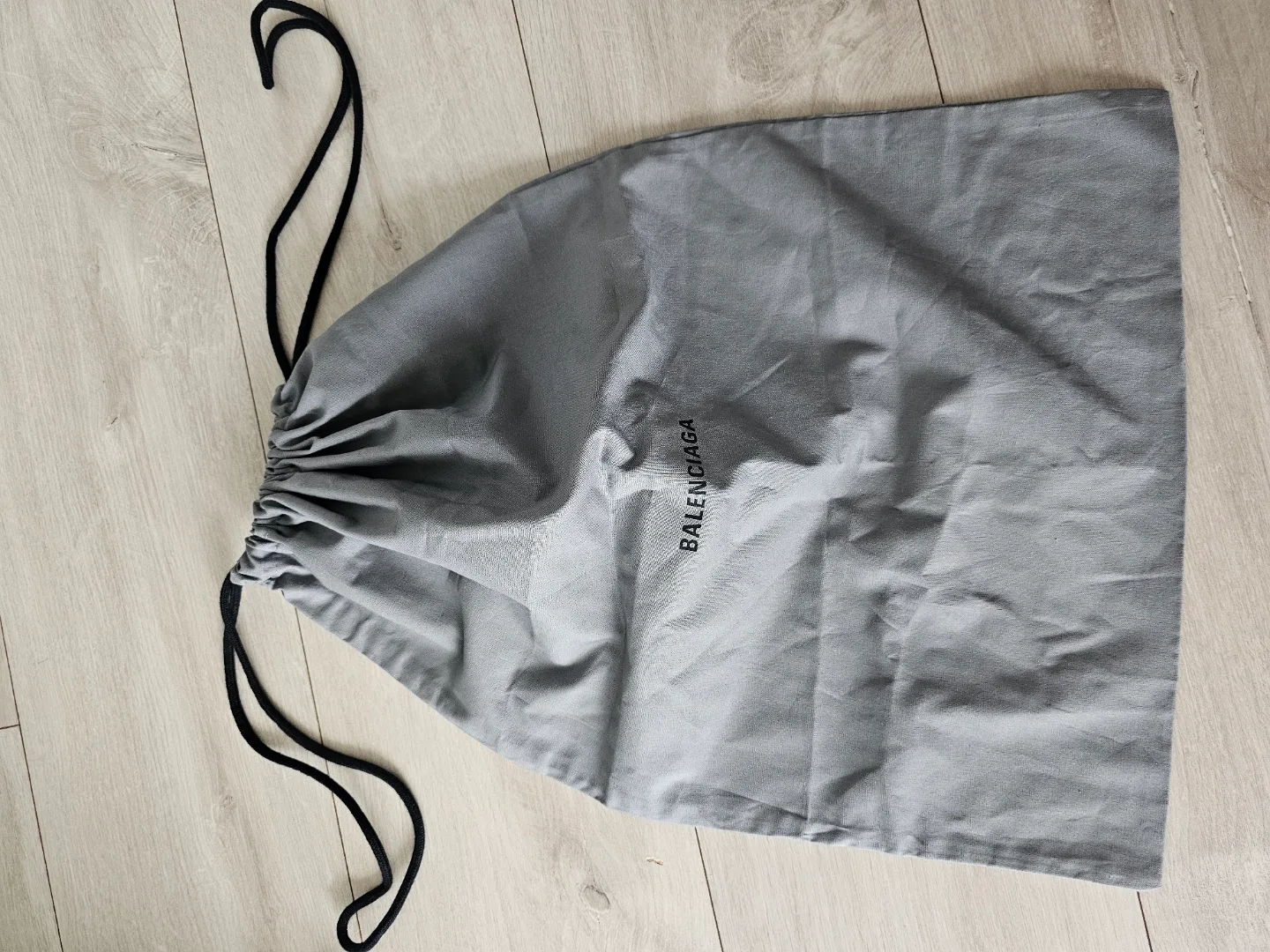 Balenciaga Dust Bag L image indicator(5)