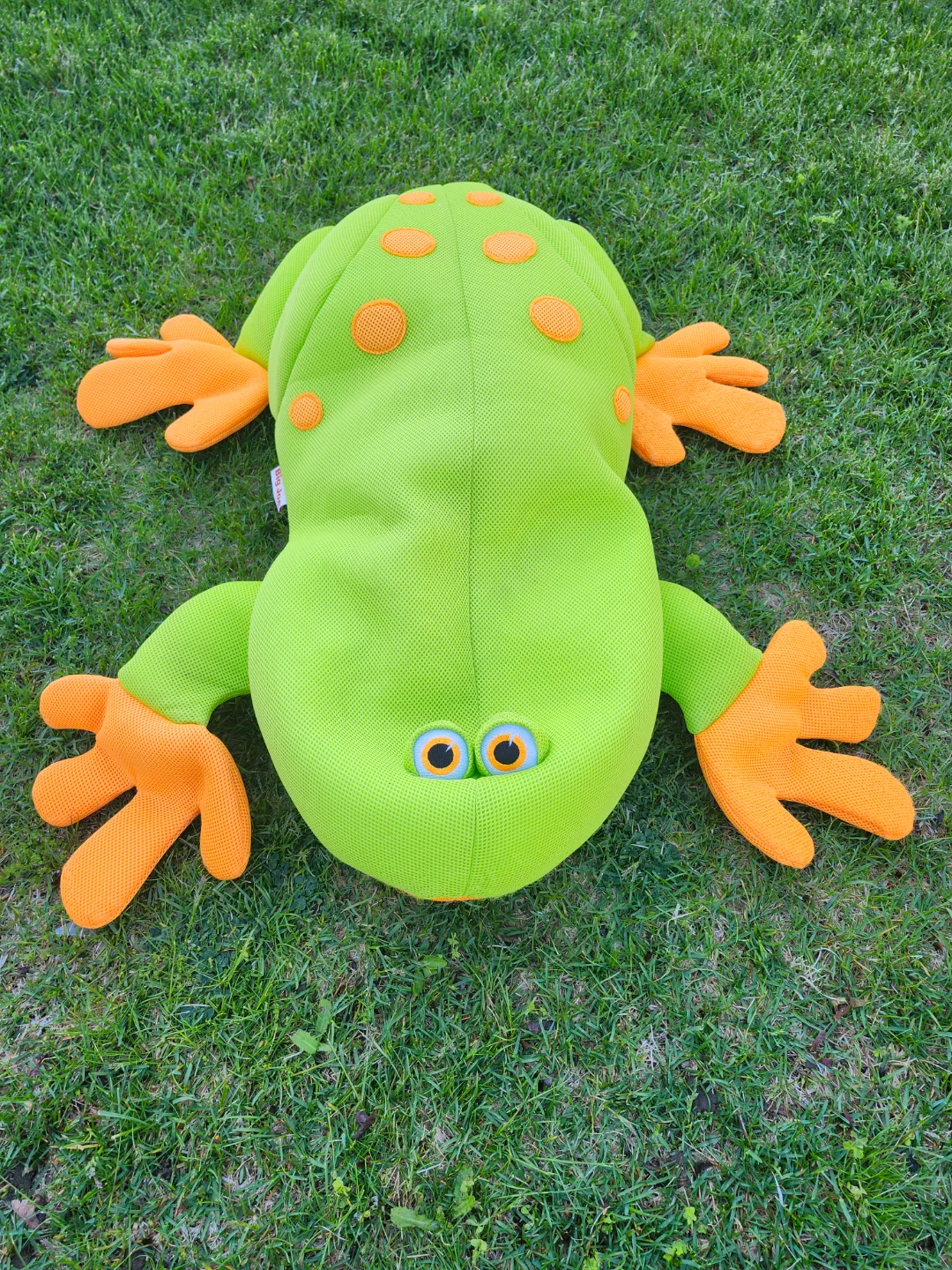 Big Joe Frog pool float toy. Pick up in Kitchener, $35 thumbnail