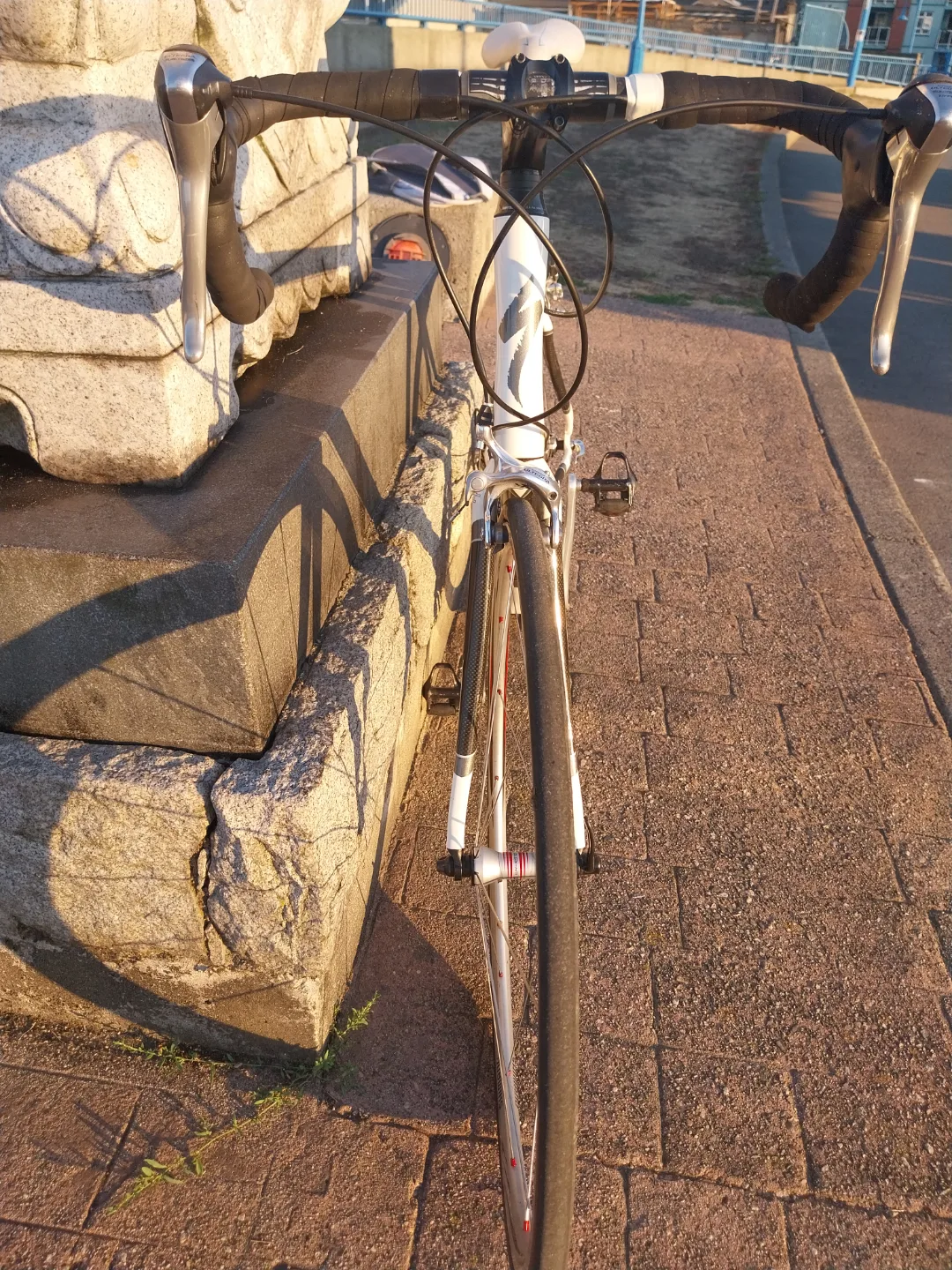 Specialized Carbon Fiber Roubaix Road Bike image indicator(2)