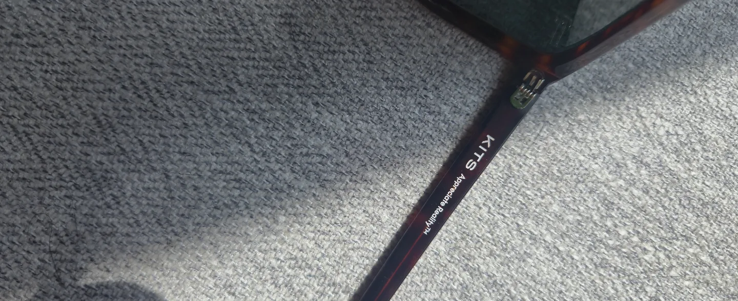 KITS Sunglasses - Tortoise Shell Frame image indicator(2)