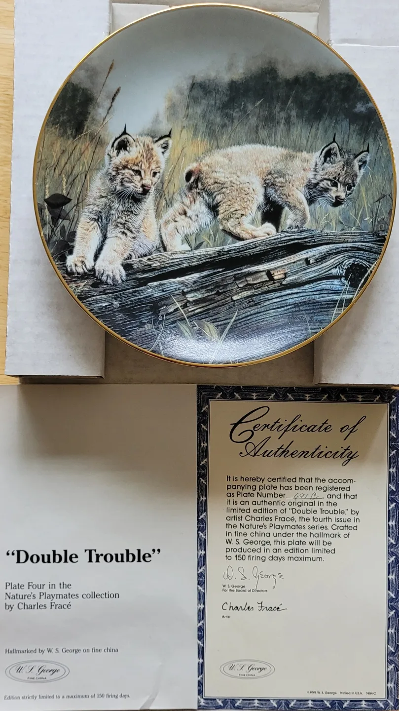 Cat and Racoon Collector Plates image indicator(9)