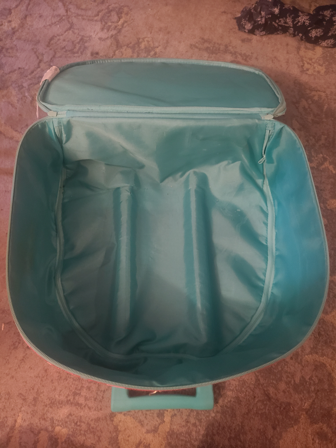 Encanto Rolling Suitcase - photo 3
