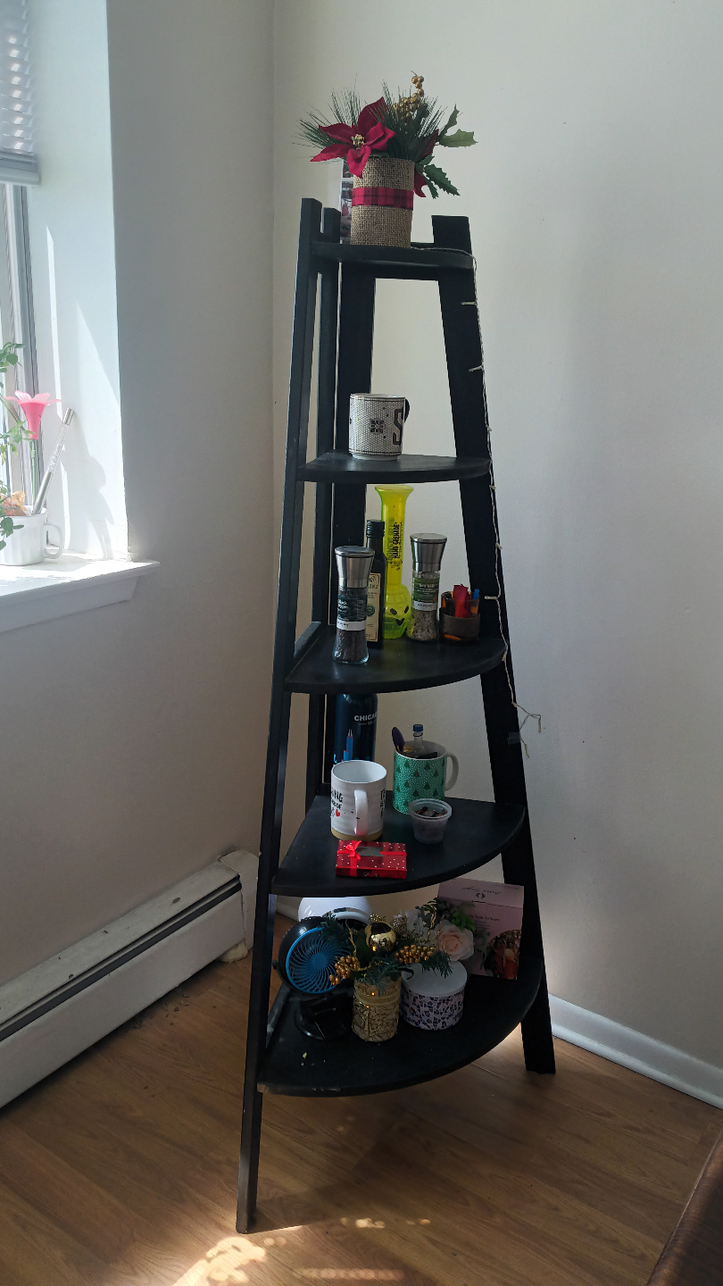 Black Corner Shelf/Ladder Shelf