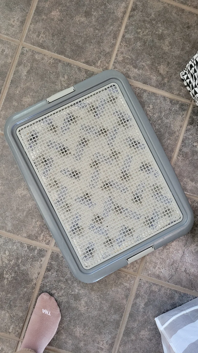 Pet Potty Training Pad thumbnail