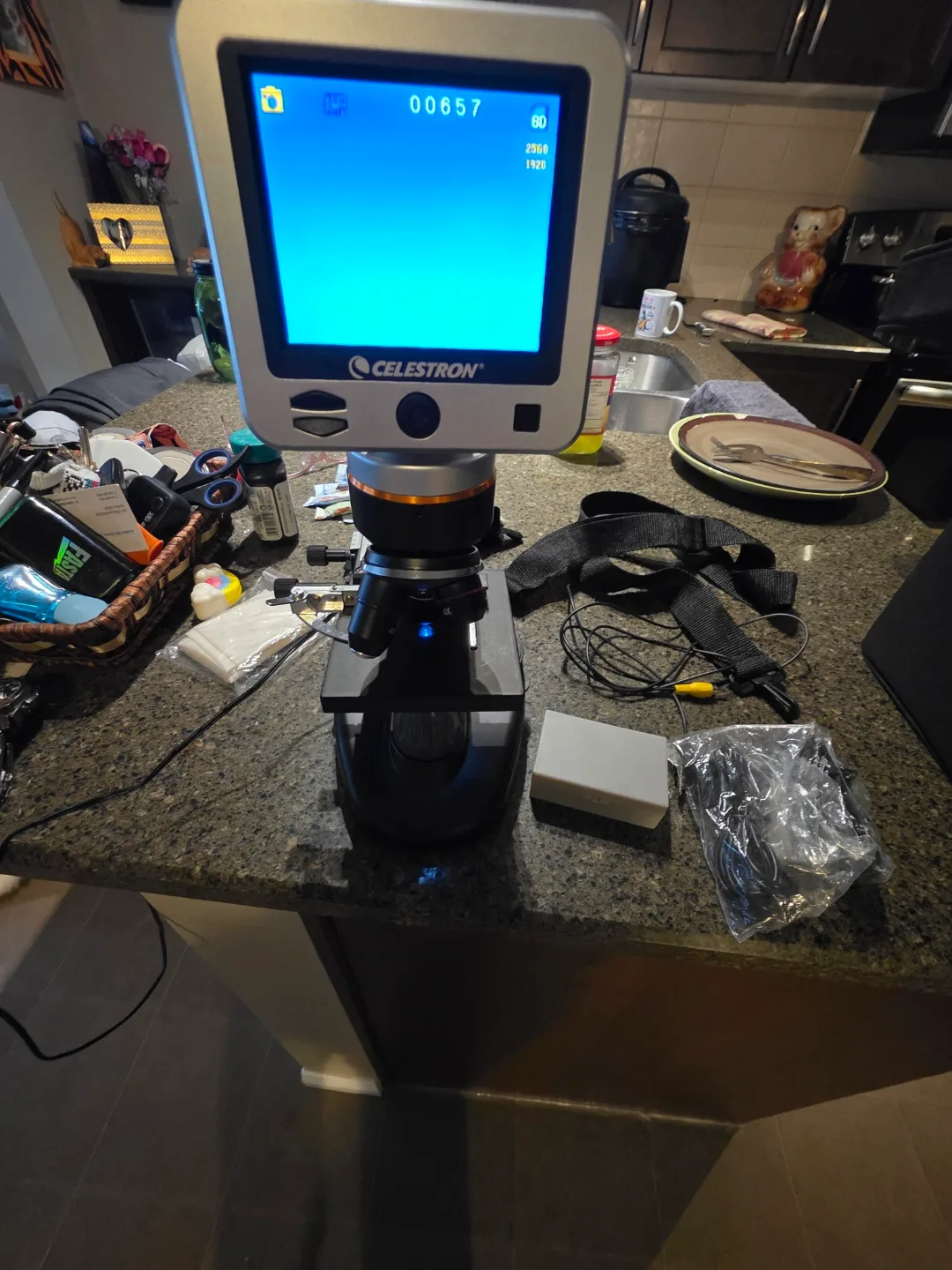 Celestron LCD Digital Microscope image indicator(5)