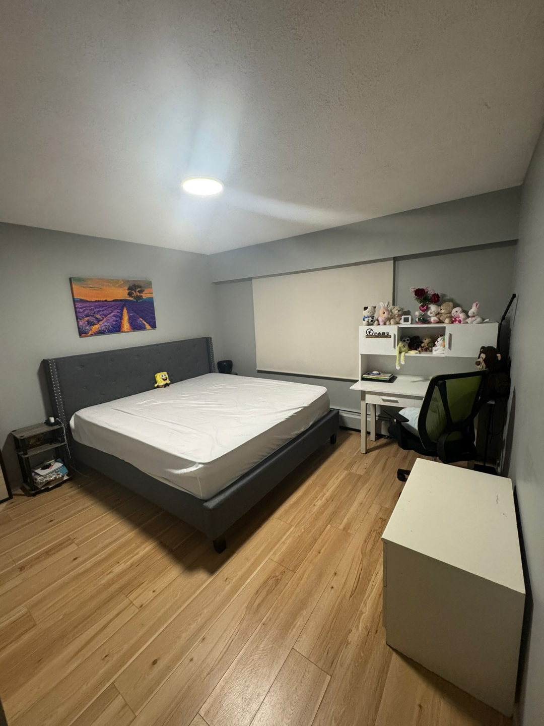 Apartment Rental - Modern & Spacious
