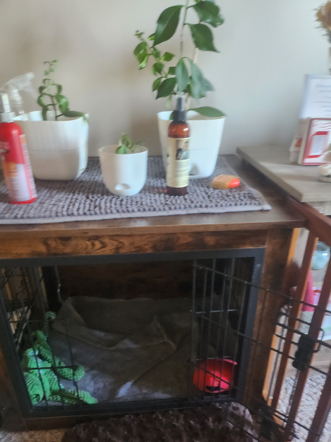 Wooden Dog Crate End Table