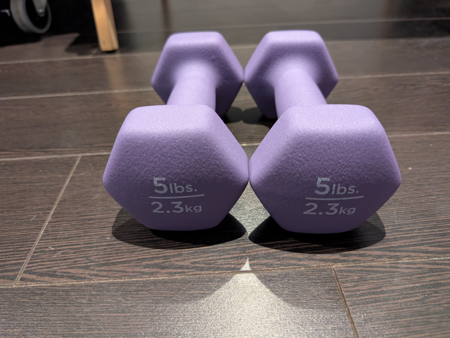 Pair of 5lb Purple Dumbbells