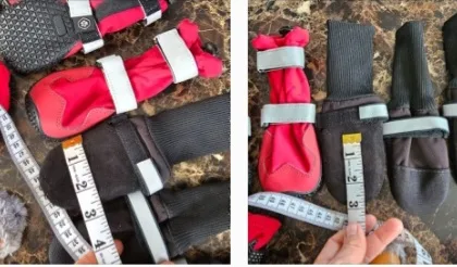 (New) Dog Boots size in pictures (price between $15 to $25) image indicator(10)