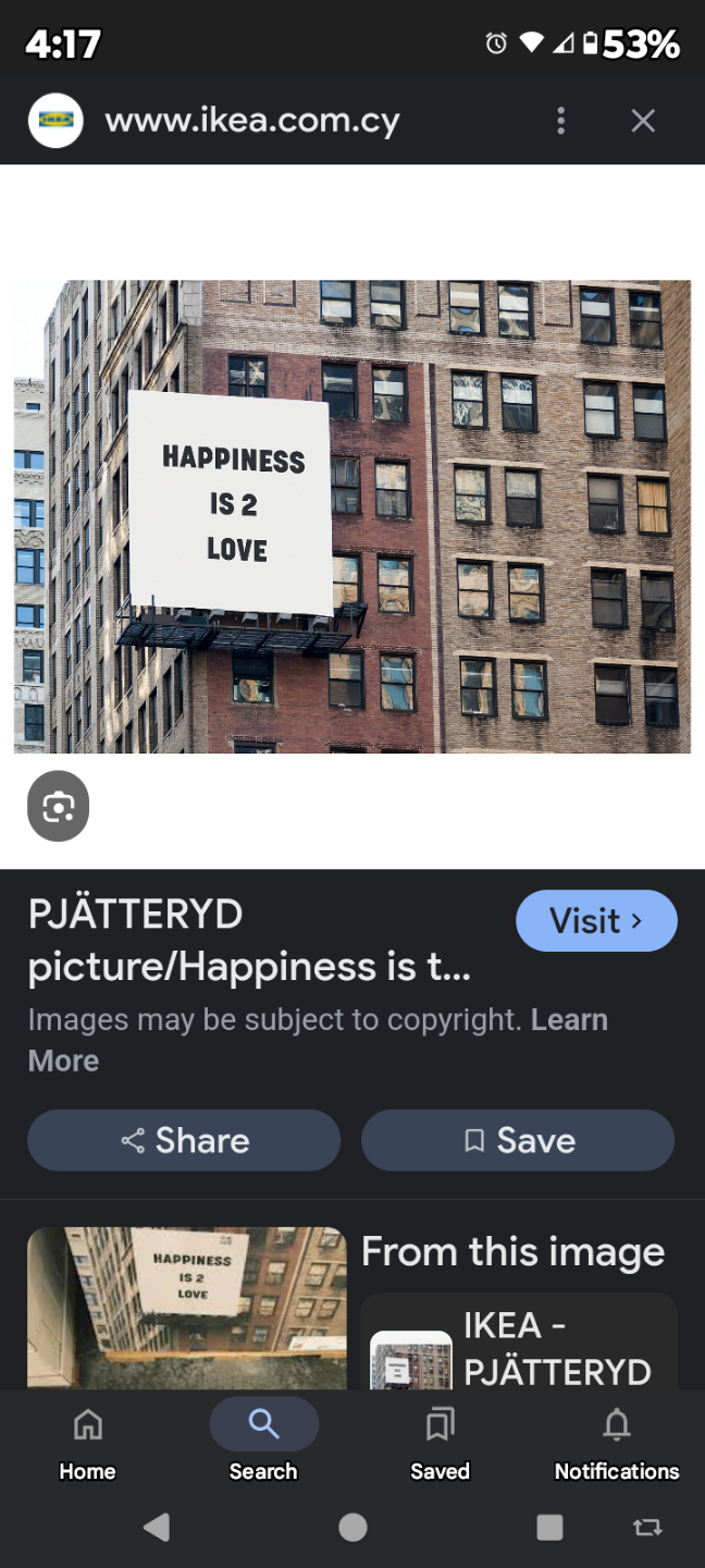 IKEA PJÄTTERYD Happiness is Love Picture - photo 2