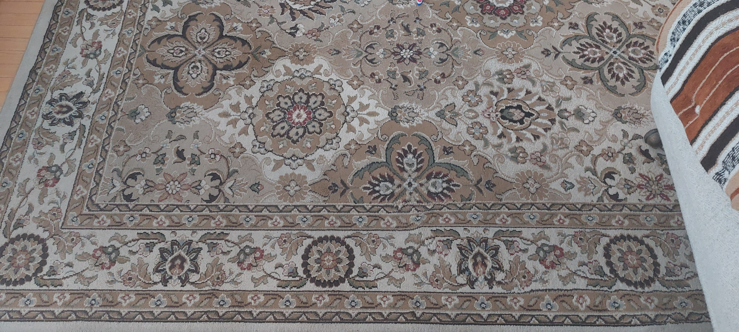 Large Beige Area Rug