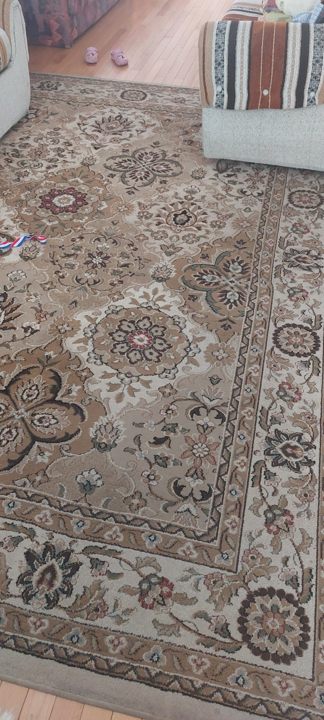 Large Beige Area Rug - photo 2