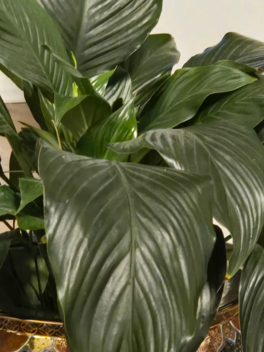 Peace Lily in Asian-inspired Pot with Stand image indicator(3)