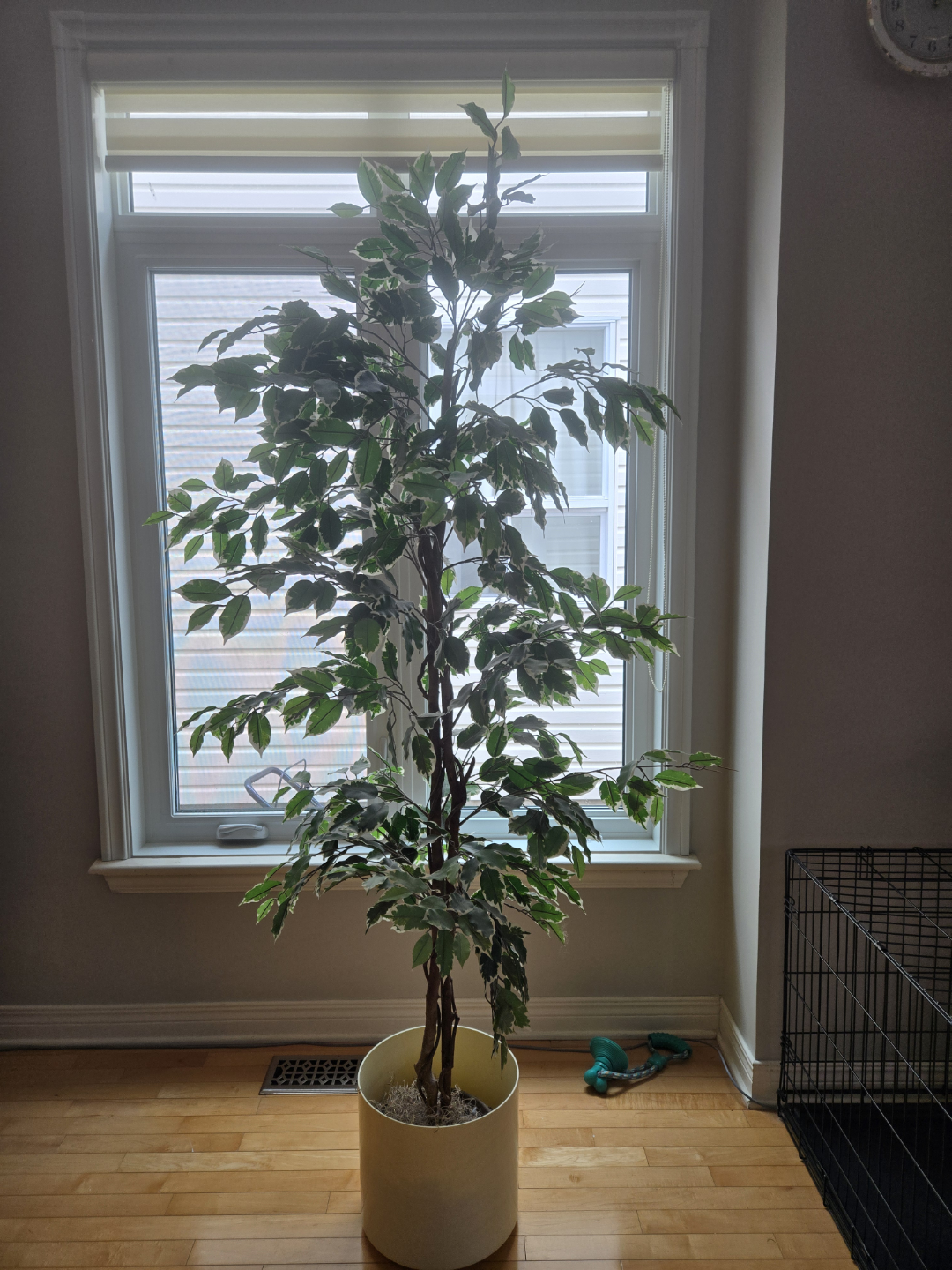 Faux Plant
