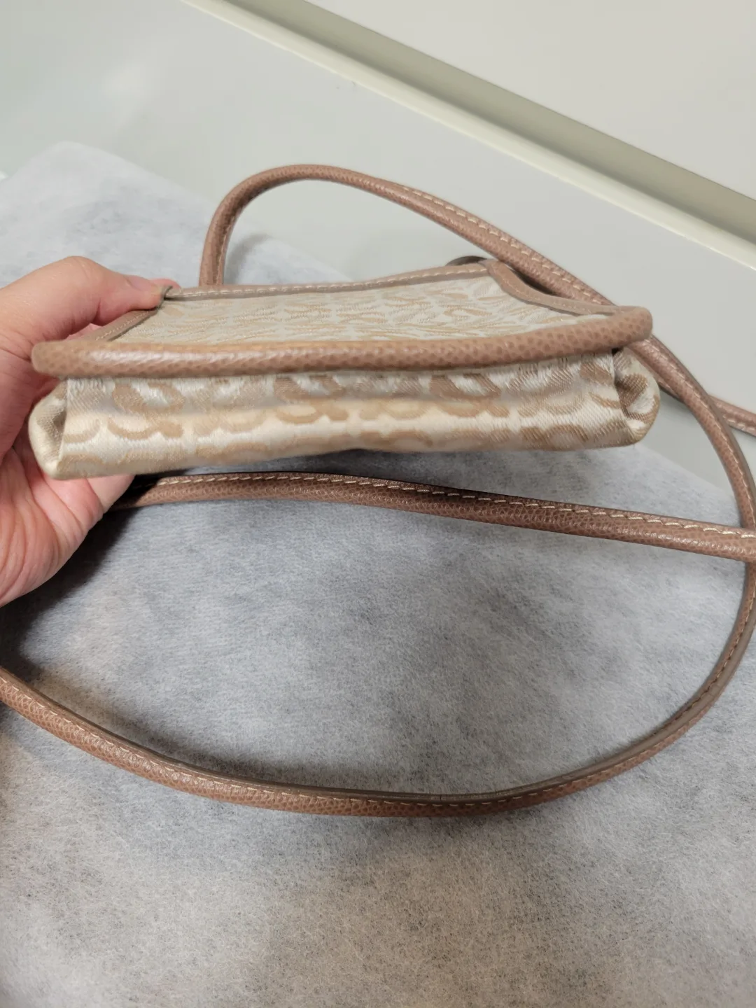 Loewe Mini Beige & Brown Crossbody Bag image indicator(5)