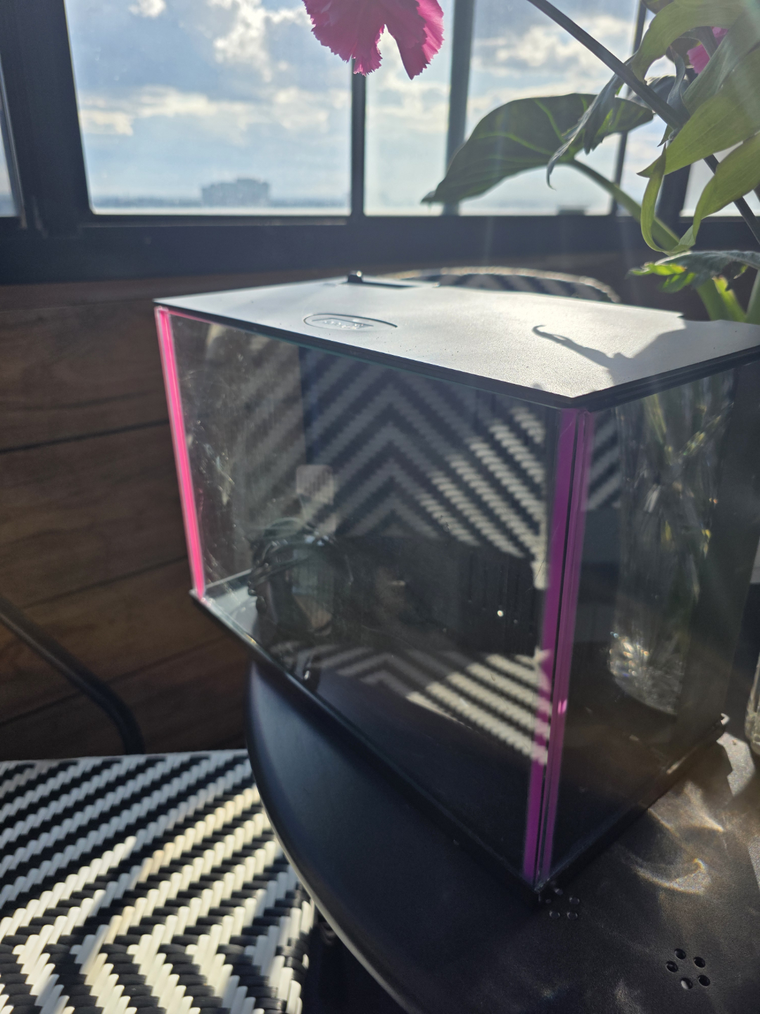 Small 3 gallon aquarium - photo 3