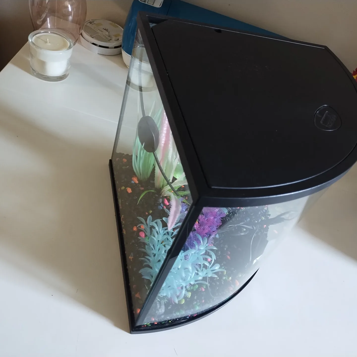 Top Fin Corner Aquarium & everything needed to start image indicator(4)