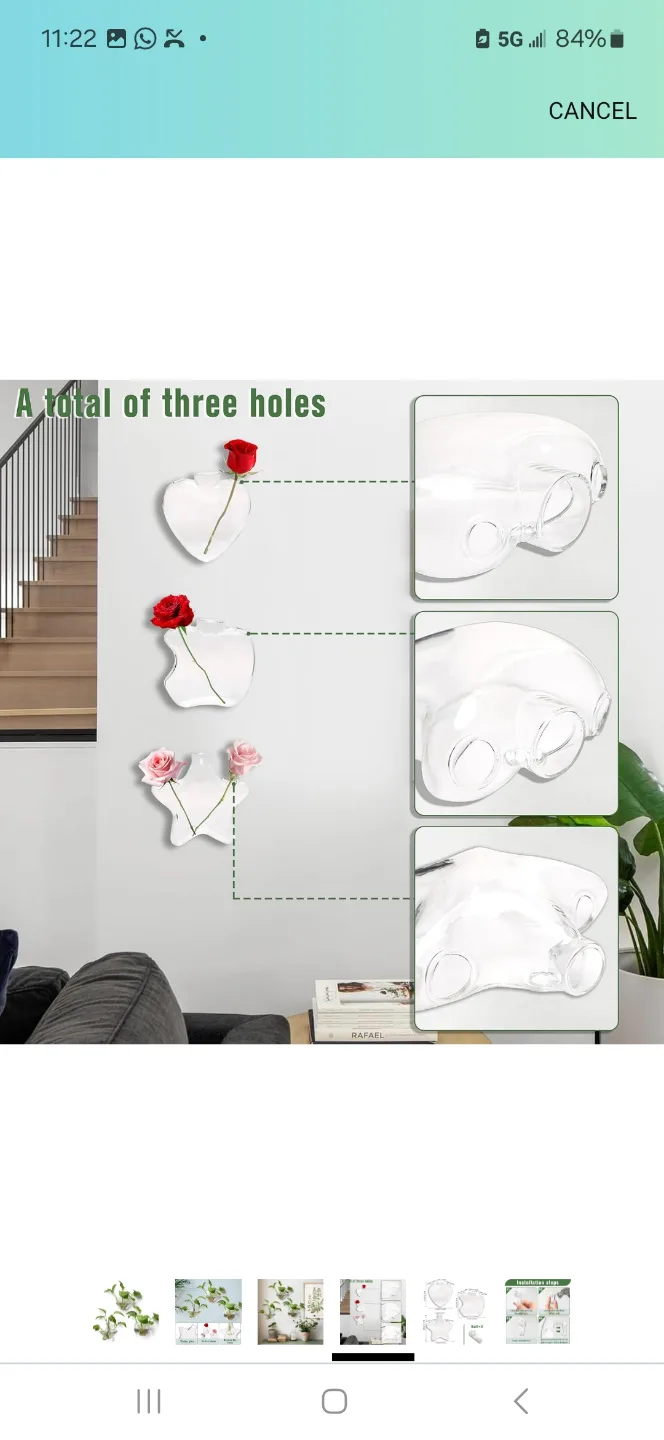 Set of 3 Glass Wall Planters - Heart, Star, and Teardrop Shapes image indicator(5)