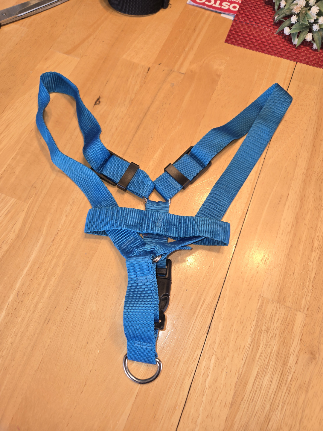 Teal Blue Dog Harness - S to M