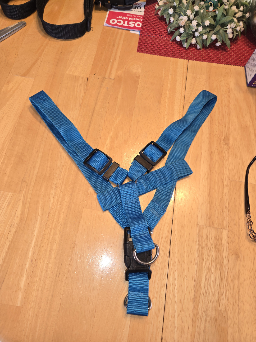 Teal Blue Dog Harness - S to M - photo 2