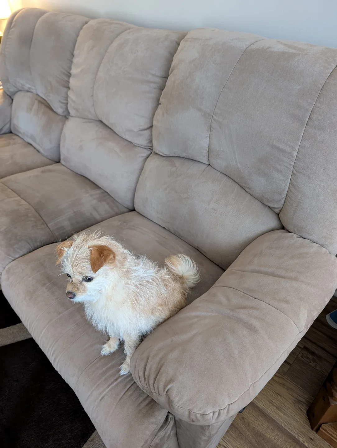 Recliner Sofa Set - Beige Microfiber image indicator(6)