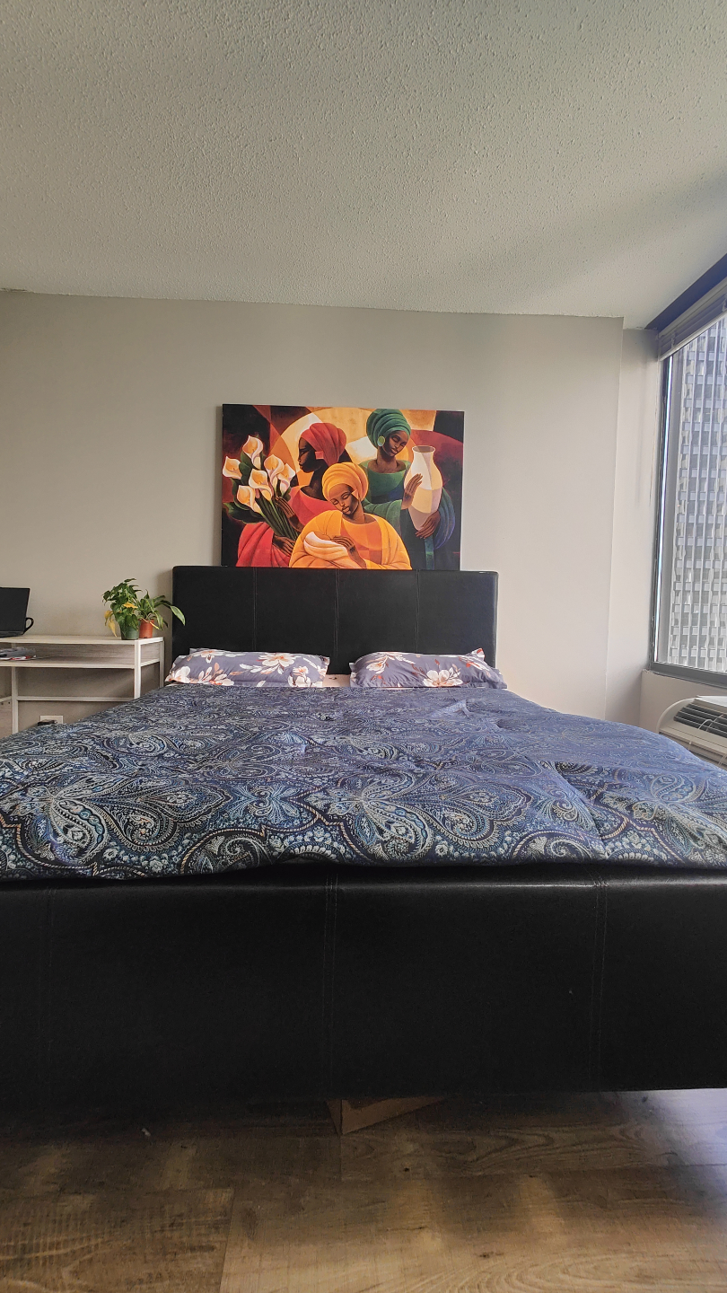 Zinus Queen Size Black Upholstered Bed Frame + Mattress
