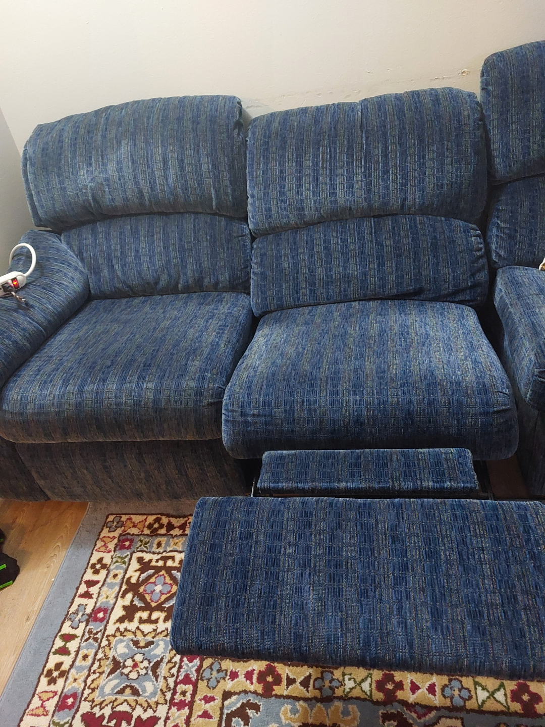 Sectional Sofa with Pull-Out Bed - photo 4