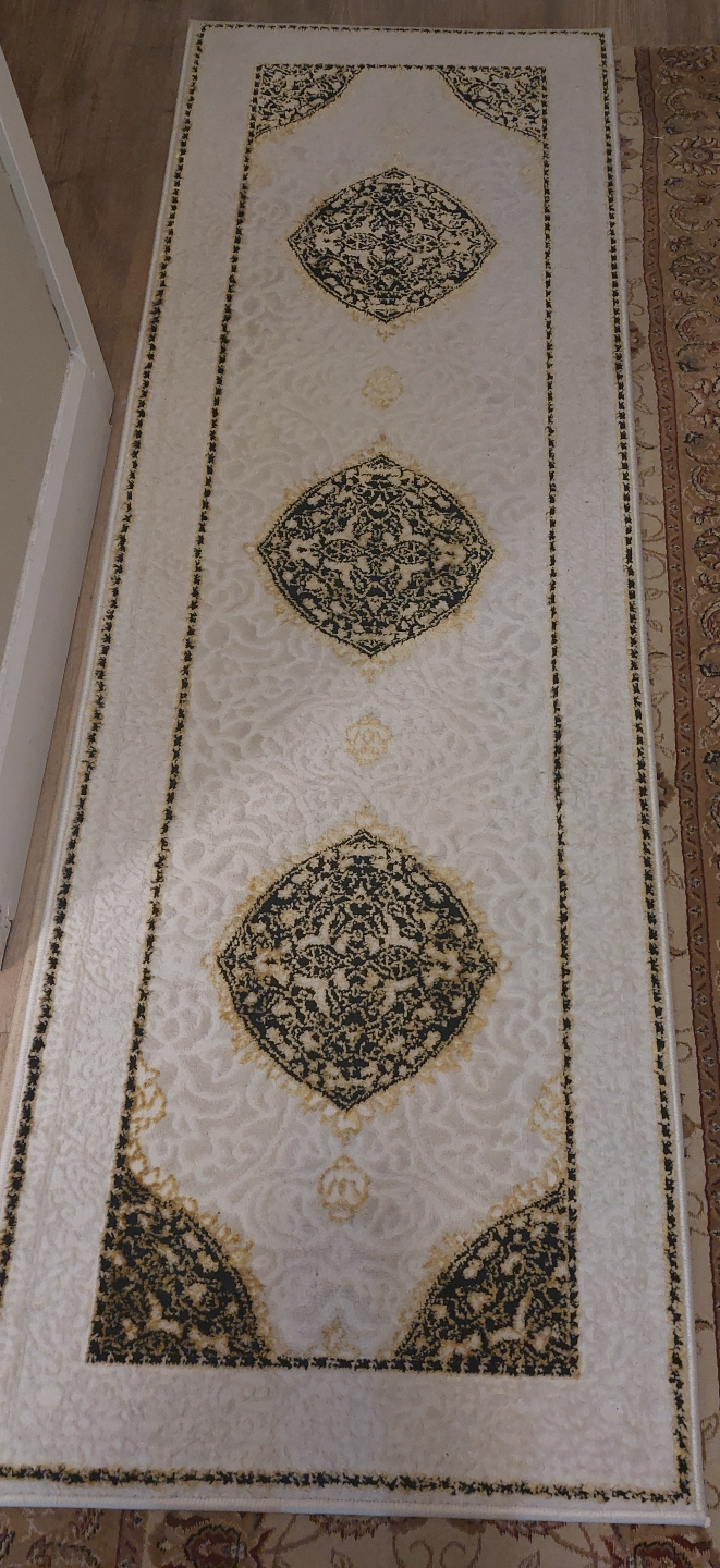 Elegant Off-White Runner Rug with Dark Accent