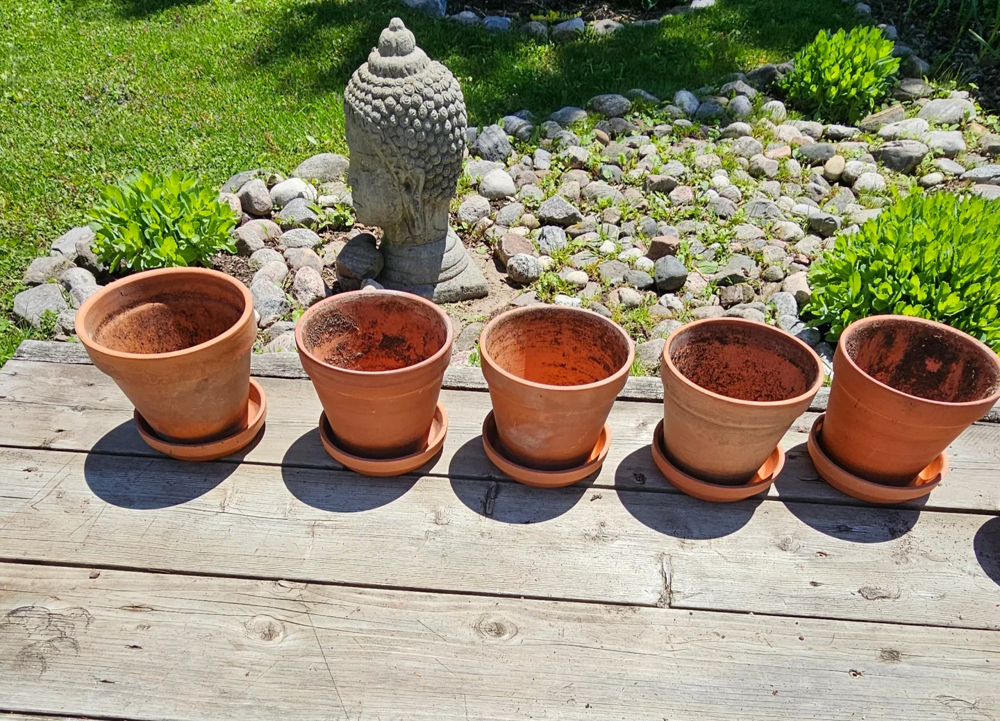 5 Terracotta Pots with Saucers thumbnail