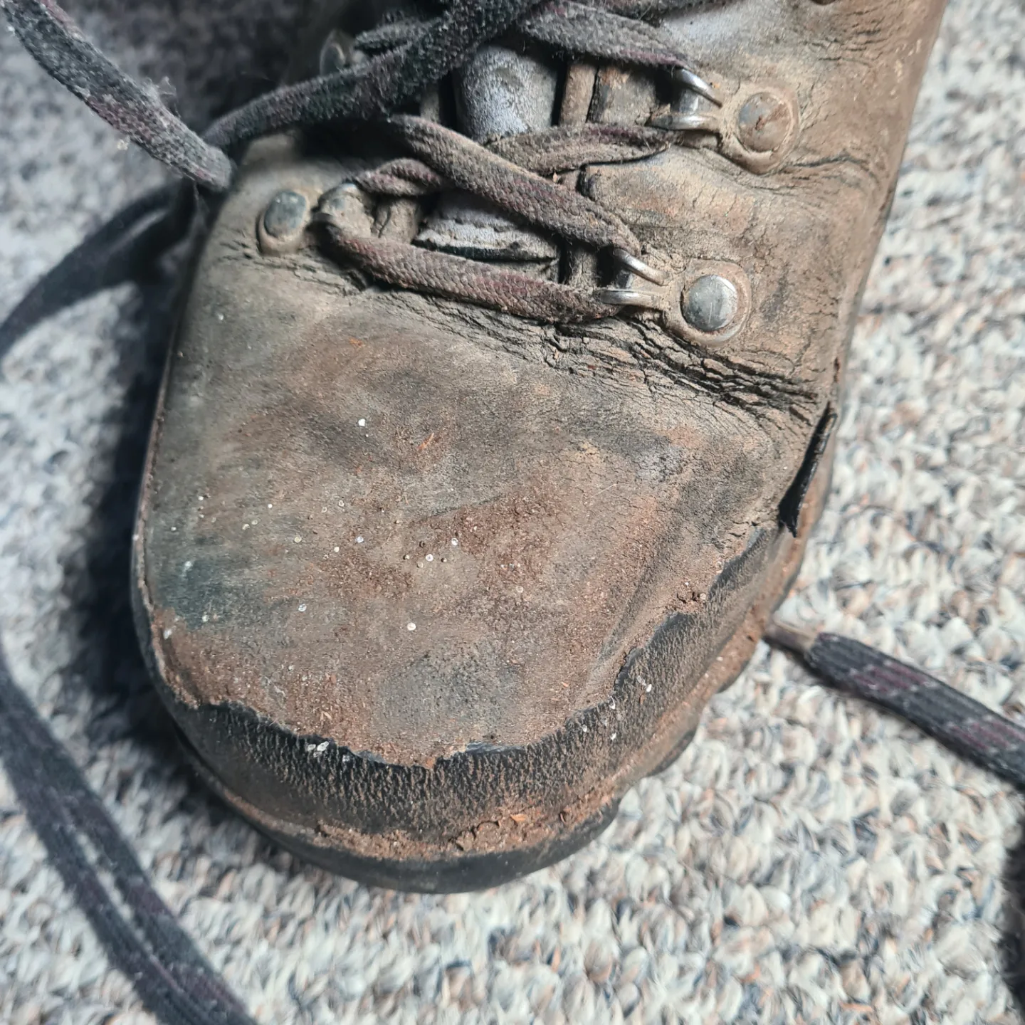 #freecycle Free Well-Used Meindl Hiking Boots image indicator(9)