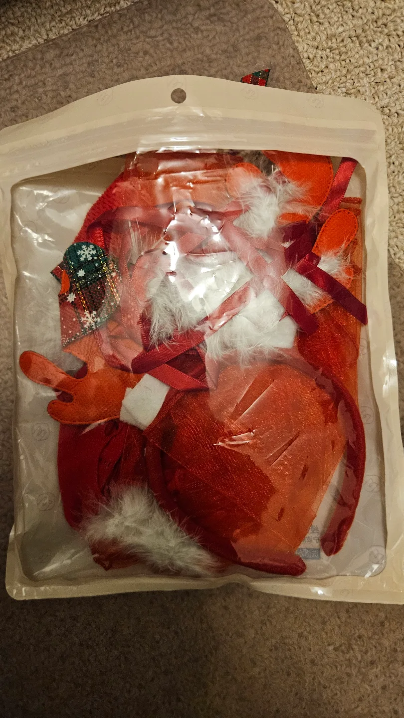 Christmas Costume Outfit image indicator(2)