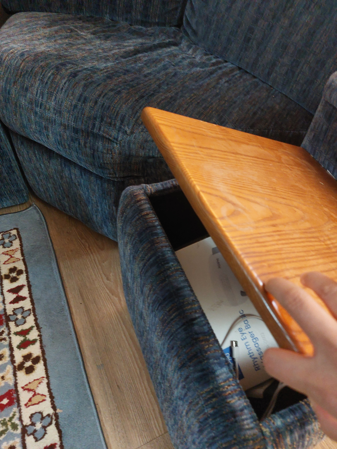 Sectional Sofa with Pull-Out Bed - photo 3